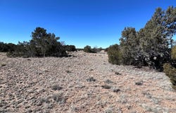 004a N N7204, St. Johns, AZ 85936