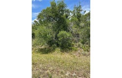 33514, 33522,33528 WASHINGTON LOOP ROAD, PUNTA GORDA, FL 33982