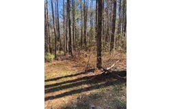 00 Oral Church Rd., Sumrall, MS 39482