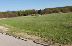 Alden Meadows lot: 43, Alden, MI 49612