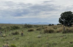6 Eureka, Silver City, NM 88061