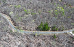 3.2 Acres Cave Springs Road, Nancy, KY 42544