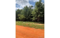 Deer Loop lot: 15, Camden, AL 36726