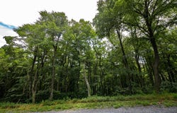 Lots 182, 183, 184 ROCKWOOD TRAIL, WINCHESTER, VA 22602