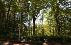 2429 Archwood DR, Longview, WA 98632