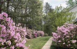 112 Holcombe Road, Travelers Rest, SC 29690