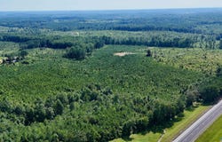 220 Acres On Reese Road, Hamilton, AL 35570