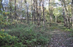 2505 WEST END AVENUE, POTTSVILLE, PA 17901