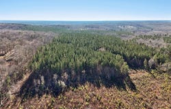 0 Dewitt Smith Road, Pittsboro, NC 27312
