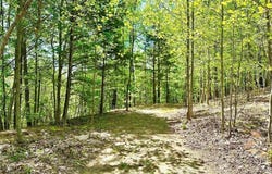 Lot 79 Ridge Run Road, Boomer, NC 28606