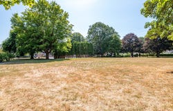 1951 LOUISIANA ST, Longview, WA 98632