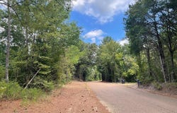 513 Brownlee Road, Sarah, MS 38665
