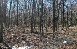 LOT 92 ANTELOPE TRL, WINCHESTER, VA 22602