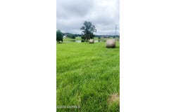 26 Lakeview Drive, Union, MS 39365