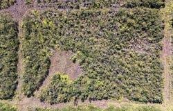 GLENWOOD RD, Volcano, HI 96785