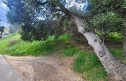 0 North Trail Road, Sylmar, CA 91342