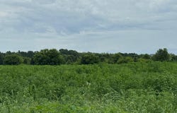 0 Tipp Elizabeth Road, New Carlisle, OH 45344