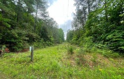 00 Mahixon Road, King William, VA 23106