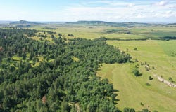 5410 Lazy Horse Ln, Spearfish, SD 57783