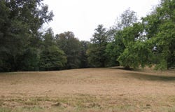 Pacific Ave., Wingo, KY 42088