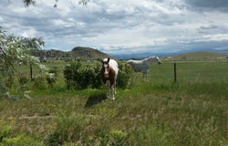 560 Franklin Mine Road, Helena, MT 59601
