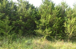 6 Clover  LN Unit #10, Holiday Island, AR 72631