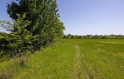 8 N Lenapah Street, Skiatook, OK 74070