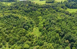 2540 Jim Clark Rd, New Haven, KY 40051