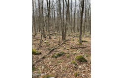Lot 270 Radcliff Lane, Newfoundland, PA 18445