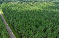 Miggins Road, Canton, MS 39046