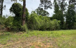 1436 Claxton Avenue, Elba, AL 36323