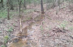 Tbd County Road 165, Long Branch, TX 75669