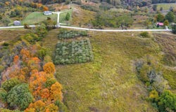 Lot #1 Georgetown Road, Owenton, KY 40359