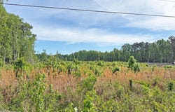 McCall's Millpond Rd, Bennettsville, SC 29512