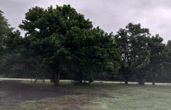 25185 W Highway 28, Bluffton, AR 72827