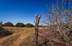 STRAWS MILL Road, Gatesville, TX 76528