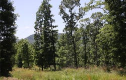 4901 County Road 263, Mount Judea, AR 72655