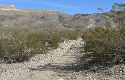 State Rte 2001, Alamogordo, NM 88310