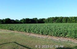 Tbd Fm 744, Malone, TX 76660