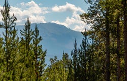 88 Aspen Trail, Tabernash, CO 80478