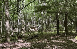 122 WOODLANDS HILL Lane, OAKLAND, MD 21550