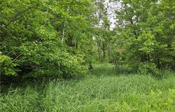 20 Acres 22 1/4 Street, Chetek, WI 54728