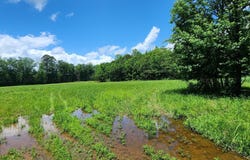 2884 AL-171, Fayette, AL 35555