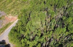 5464a Pecan Orchard Road, Liberty, MS 39645