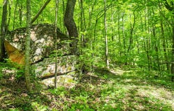 0 Buffalo Road, Oneida, TN 37841