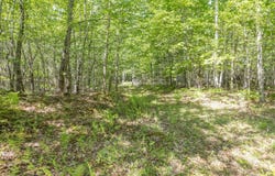 M6, L3 Beech Hill Pond Road, Dedham, ME 04429