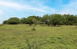 03 CR 214, Hallettsville, TX 77964