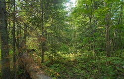 TBD Oikarinen, Hancock, MI 49931