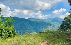 Grapevine Road, Marshall, NC 28753
