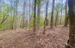 Rothwood Road, Monroe, VA 24574